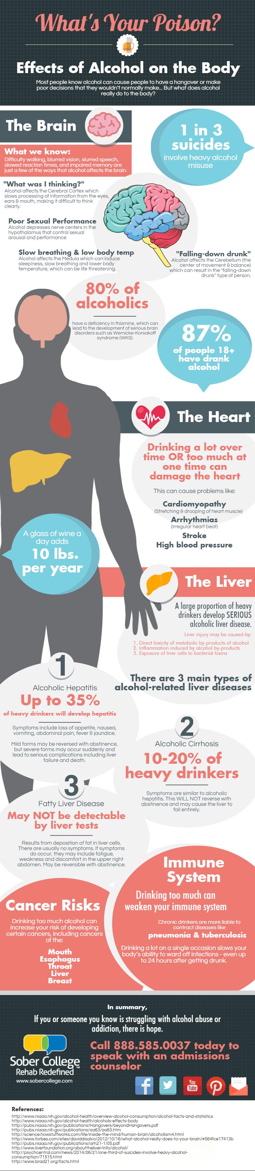 Effects Of Alcohol On The Body Infographic Sober College 