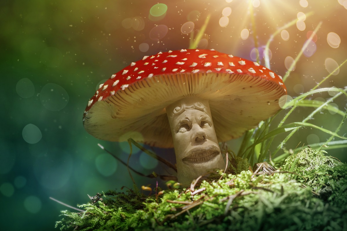 magic mushrooms effects