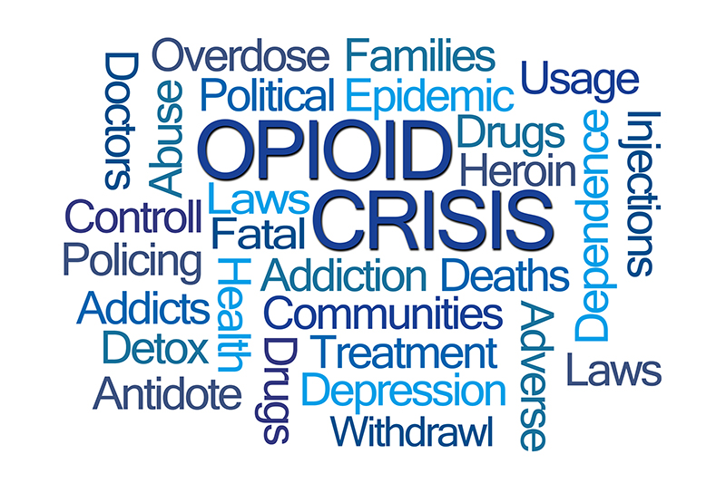 The Opioid Epidemic | Facts & Statistics to Know | Sober College