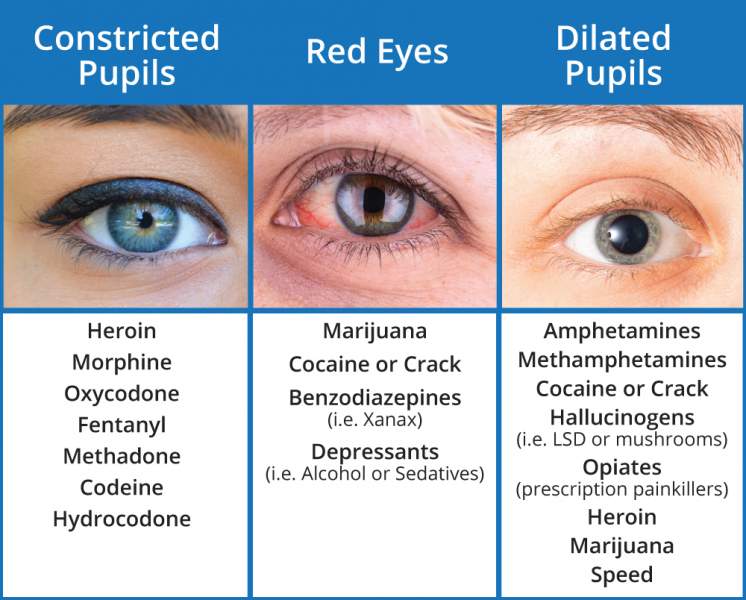 Pupil Dilation Chart Drug Use